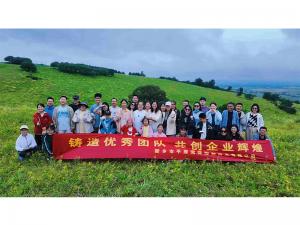 從空調房到草原天路，公司帶你解鎖夏日新體驗。